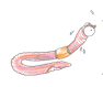 Kinderboek, keverdokter, keverziekenhuis